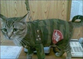 Из одного бата.