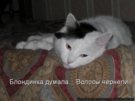 На что готовы женщины, чтобы выйти замуж?