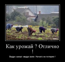 Я по картошке.