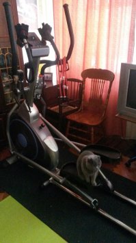 Я себе для тренировки сердца,развития выносливости и сжигания жира, вот такой агрегат приобрёл. Отличная штука, всем рекомендую!