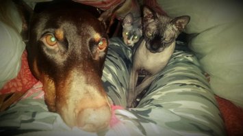 Моя Банда =)