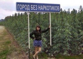 Лекарственные растения России