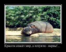МЧС предупредило москвичей о надвигающейся сильной грозе