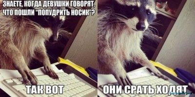 А Енот истину глаголит!!!!