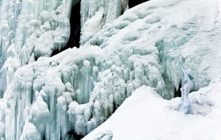 Тут обошлось без краски, нужно было лишь немного подождать ))