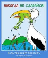 Цапля съела сома целиком
