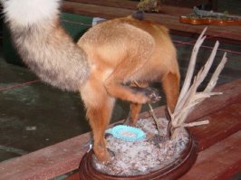 Интересные факты