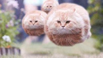 Судя по траектории, дело было так)