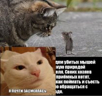 Интересные факты