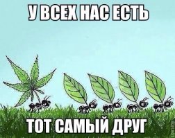 Самые сильные фотографии за последние 100 лет