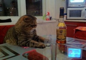 Точь-в-точь))