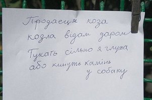 Ктати кинул так раз камень в будку собаки , та в аккурат вылезла , получилось камнем ровно между глаз . Та назад в будку залезла . А я до хозяев еле докричался