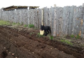 а где продолжение к первой фото? ))
