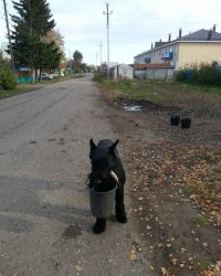 а где продолжение к первой фото? ))