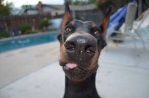 Подборка интересных и веселых картинок