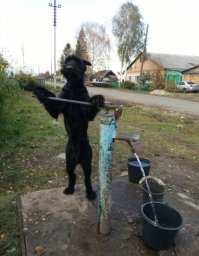 а где продолжение к первой фото? ))