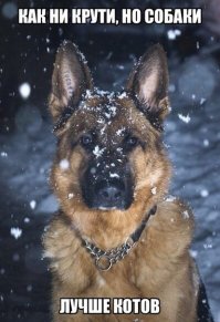 Пошел по следу и раскрыл «преступление»