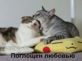 Фотоподборка за 26.05.2016