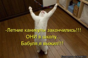 10 удивительных историй о выживших