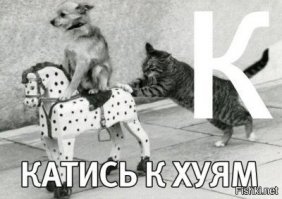 ЖАБА!!!!!! сама себя наказала... поделом"!