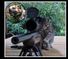 мне долгое время нравился "грин браузер"
- нестандартен , интересен  и почти никогда не падает !
- сильно улыбнул "плэй фри браузер" - РЕАЛЬНО самый быстрый (!), - но слетает от дуновения ветерка за окном..!
а те, перечисленные мной  в посте / комментарии ;)
[отчего то ТУПО заминусованном ] - выбраны мной за надёжность - на каждом стоит примерно 11 расширений / плагинов И самое главное в них вкладок можно открывать РЕАЛЬНО много !
 - когда меня в яндексе спросили ПОЧЕМУ я удалил яндекс браузер .. - ответил им скриншотоми -яндекс начал "умирать" после 38 вкладки , а Комодо после 260 (!!) пытался держаться !!