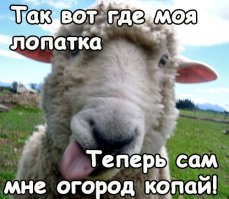 Узбекский плов. Семейный плов. Как готовят плов в узбекских семьях.ях