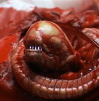 продукт в банке напоминает