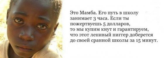 0,3 километра в час?! 0,3 км/ч ?! Напомнило: