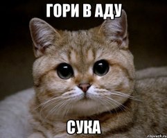 На что тратит деньги самый богатый спортсмен планеты