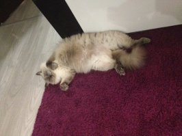 Моё чудо)) за пост спасибо!)