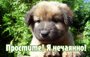 Да не оскудеет рука дающего: чего только не отдают даром люди!
