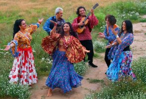 Хороший конь