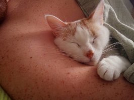 А вот моя со мной спит )))