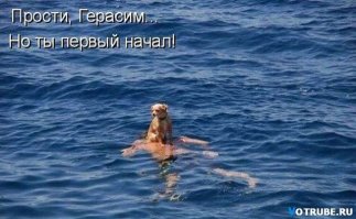 "ГАРМОНЬ СИЗ"