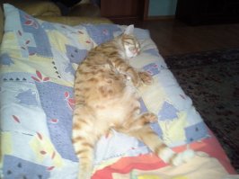 ... моя красавица :)