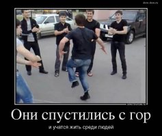 Бородатые люди снова разбушевались