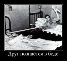 Самые верные друзья, которые всегда придут на помощь!