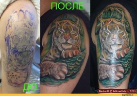 ну если люди тупые, сначала набьют говнище в сарае, а потом перекрывать идут к такому же партачнику, то думаю им и так норм. таких говёных каверов полон интернет