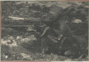 Собак надо носить