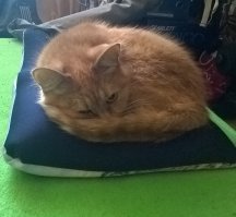 А вот наша приблуда))