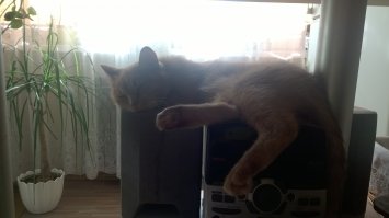 А вот наша приблуда))