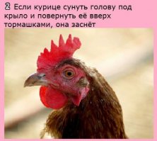 Так вот в чем секрет фокуса