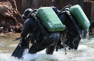 У нас тоже их есть.