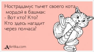 Кошки и обувь