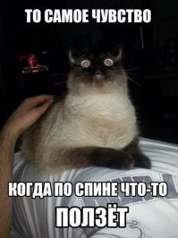 Сперва ползет,а потом...