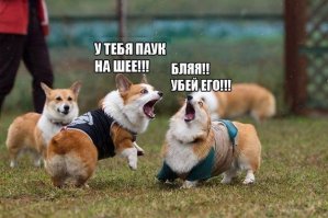 Сперва ползет,а потом...