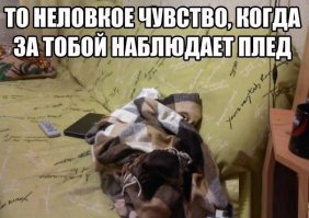 Забавные картинки и комментарии