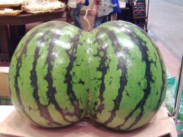 35 невинных фотографий, которые покажут насколько вы испорчены