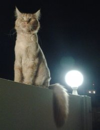 Притча про три сестры