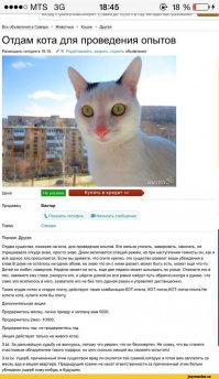 Да не оскудеет рука дающего: чего только не отдают даром люди!